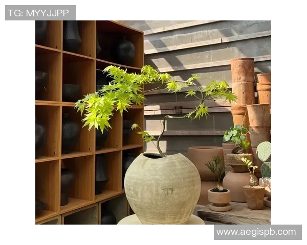 盆栽艺术之美：探索植物养护与室内装饰的完美融合与创意表达