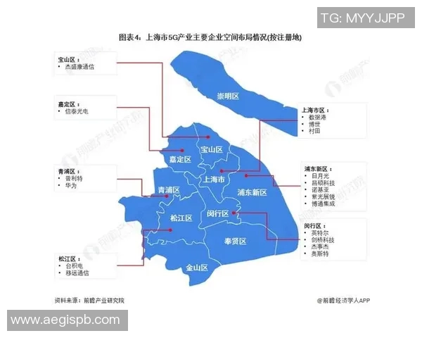 上海极限运动队状态全景解析及各队表现对比分析